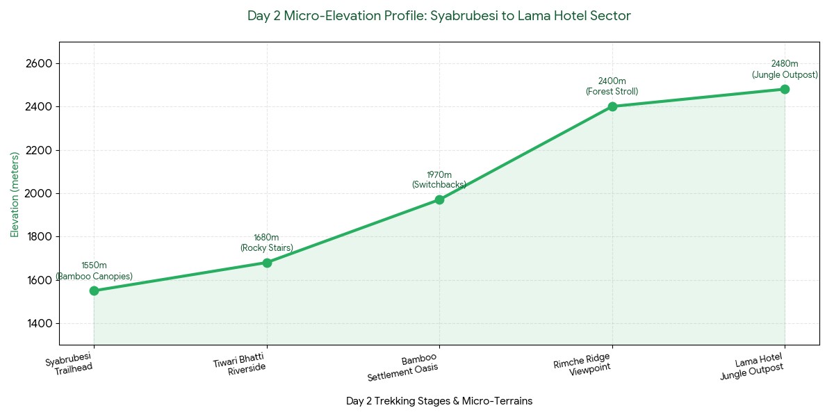 Elevation chart showing the ascent from Syabrubesi to Lama Hotel on the Langtang Valley Trek, passing through Bamboo and Rimche with steady altitude gain in a forested Himalayan landscape.