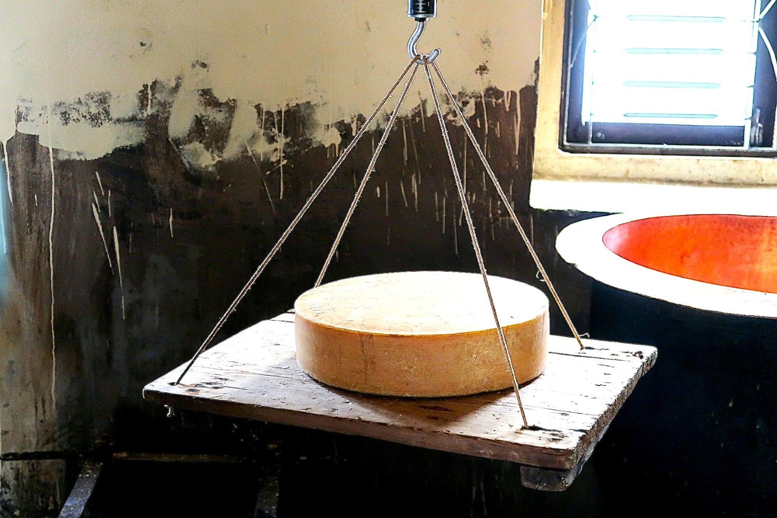 Fresh Local yak cheese served at Kyanjin Gompa in Langtang Valley, offering trekkers a traditional Himalayan dairy experience during the Langtang Valley Trek in Nepal.