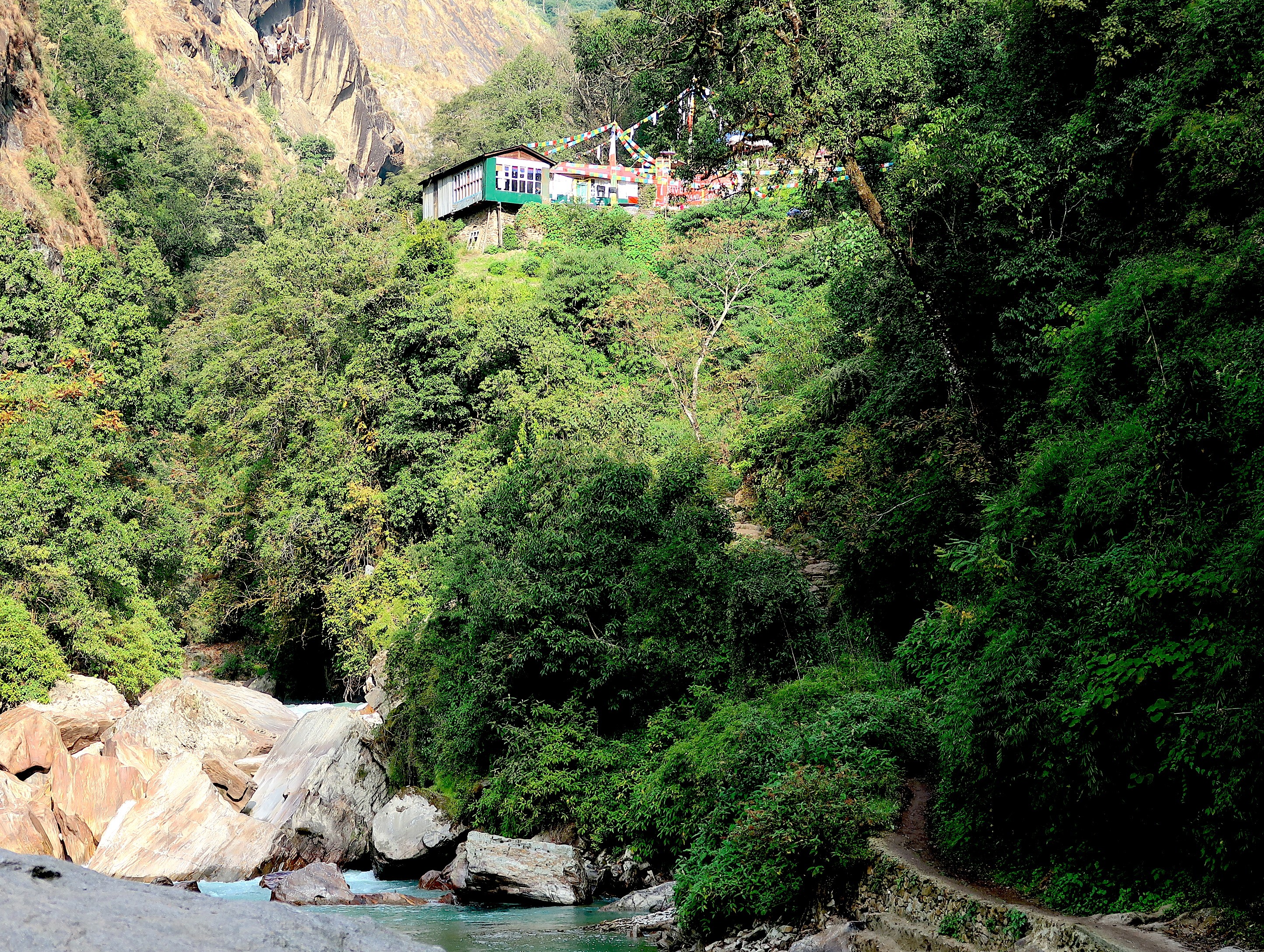 Langtang trekking trail river teahouse forest Pahire Nepal Himalaya