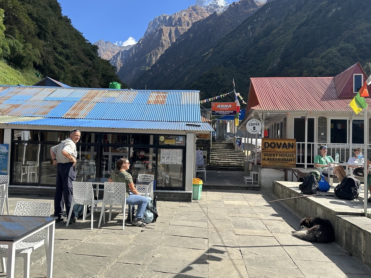 Traditional teahouse lodges at Dovan on the Annapurna Base Camp Trek, nestled beside a lush rhododendron forest and mountain stream, offering cozy accommodation in a peaceful Himalayan setting.