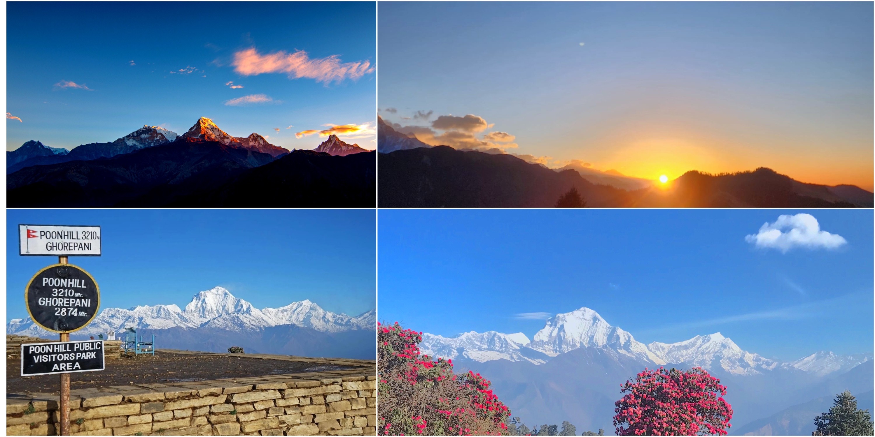 Trekkers hiking before dawn to Poon Hill, colorful prayer flags, a star-filled sky, and the spectacular sunrise illuminating the Annapurna and Dhaulagiri mountain ranges with golden light.