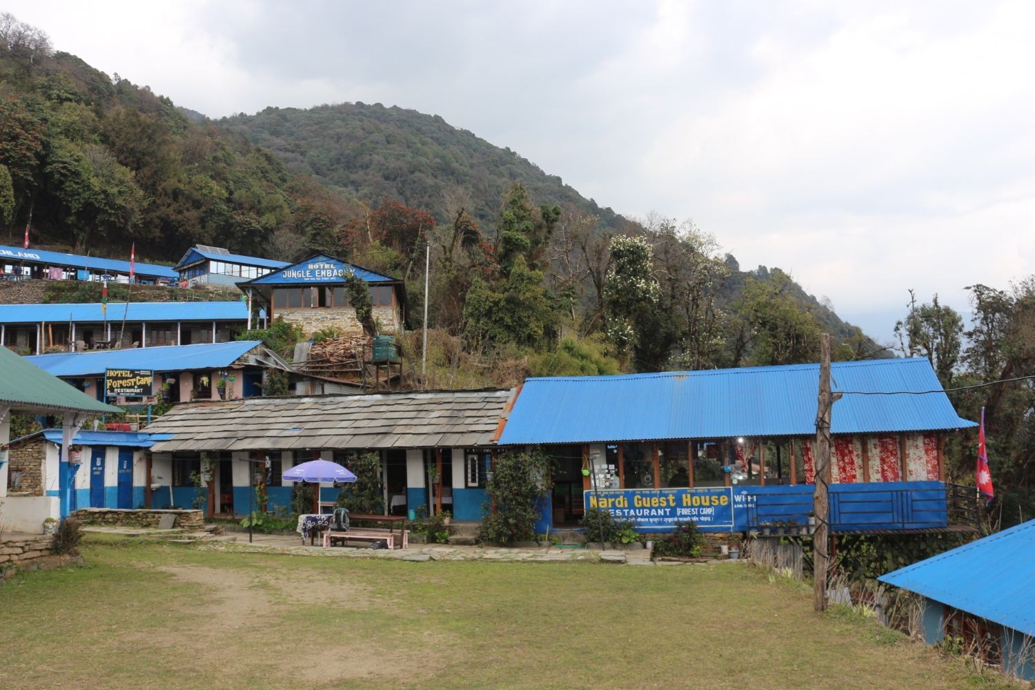Cozy teahouse lodge at Forest Camp surrounded by rhododendron forest on the Mardi Himal Trek in Nepal.