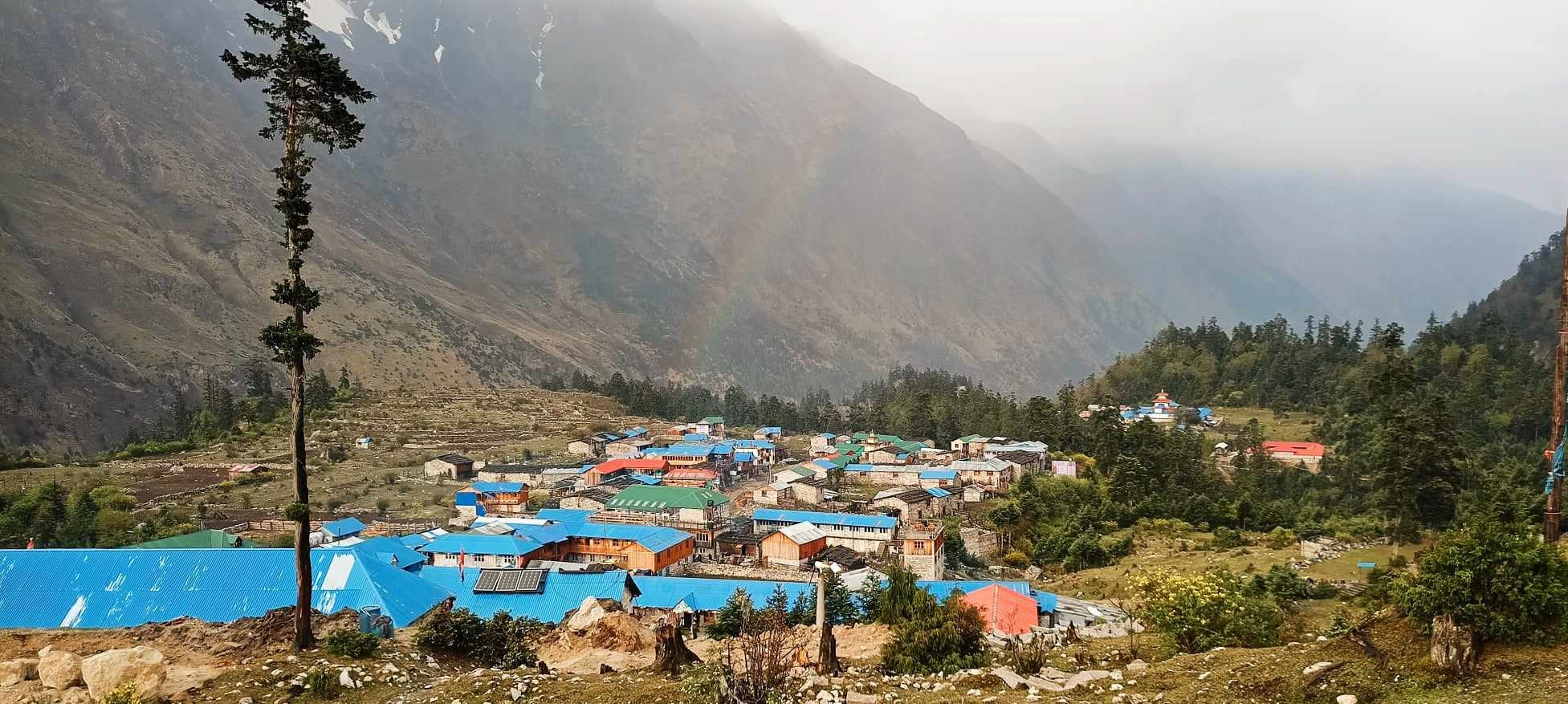 Scenic view of Samagaun with traditional stone houses, yak grazing fields, and towering snow-capped Himalayan peaks in the background.