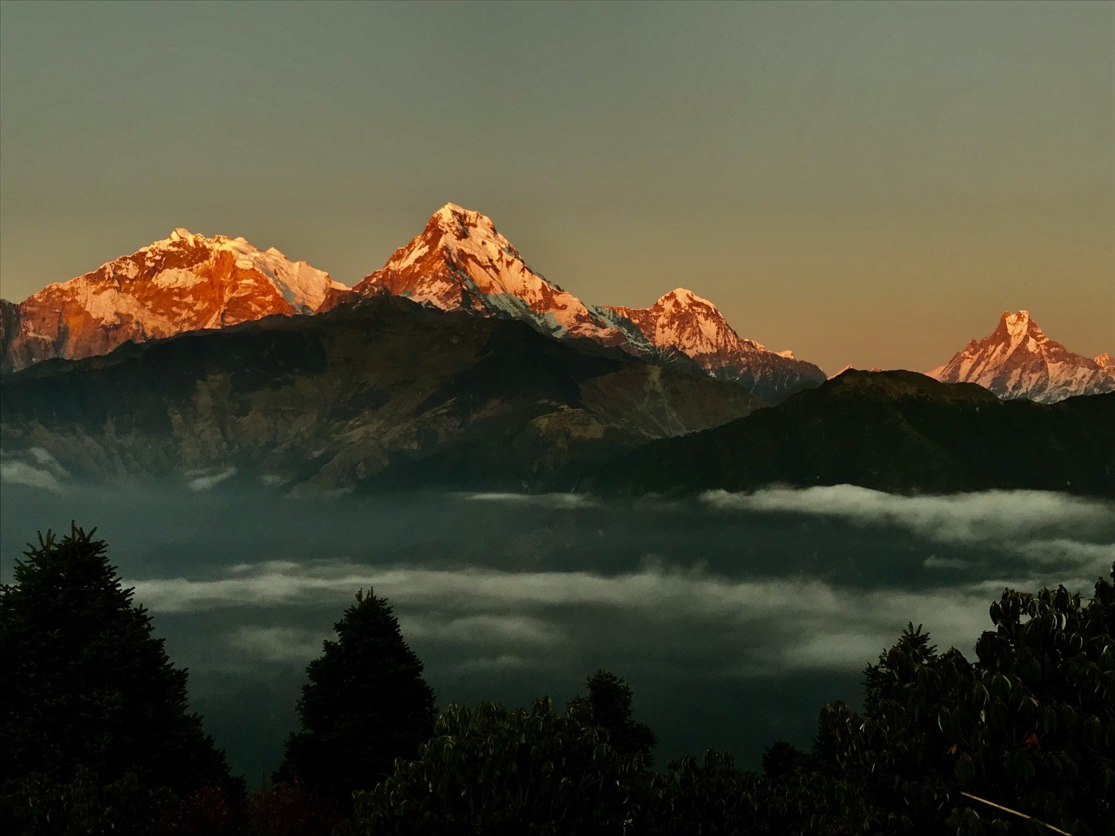 Golden sunrise light illuminating the snow-covered Annapurna massif under a clear Himalayan sky.