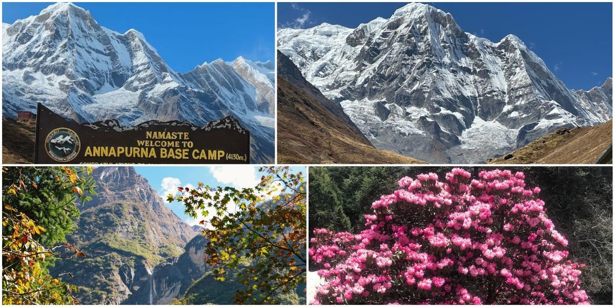 Annapurna Base Camp Trek showing trekkers walking on a scenic Himalayan trail through rhododendron forests and alpine valleys, leading toward Annapurna Sanctuary surrounded by towering peaks like Annapurna I, Machapuchare (Fishtail), and Hiunchuli.