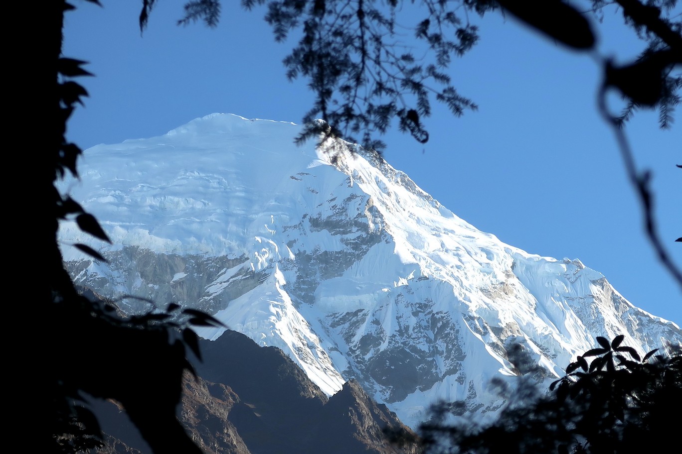 Langtang mountain glimpse through trees Nepal Himalayan trekking experience