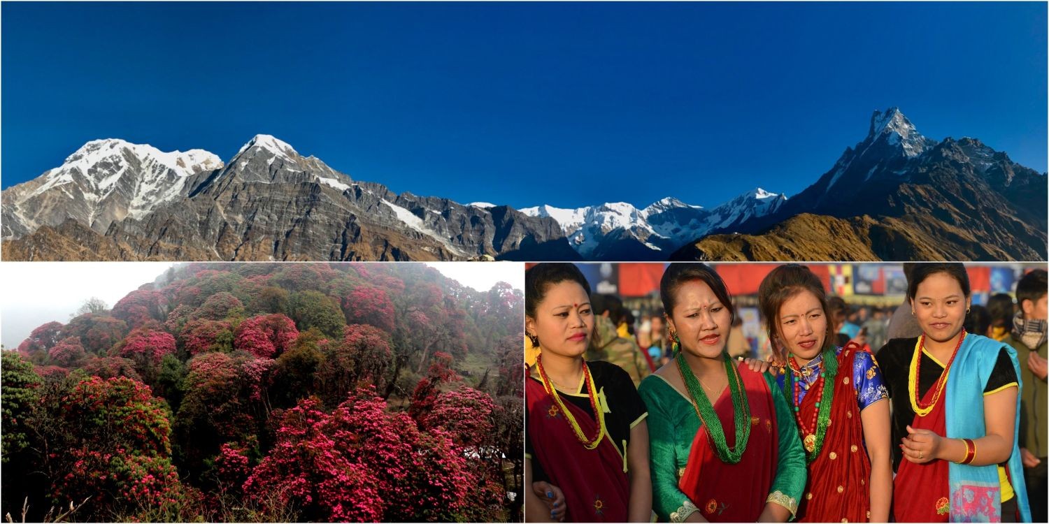 Rhododendron forests, traditional Gurung villages, and panoramic Himalayan views on the Mardi Himal Trek in Nepal.