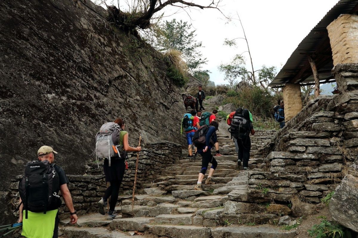 Trekkers climbing the steep Ulleri stone steps on the Ghorepani Poon Hill Trek in Nepal.