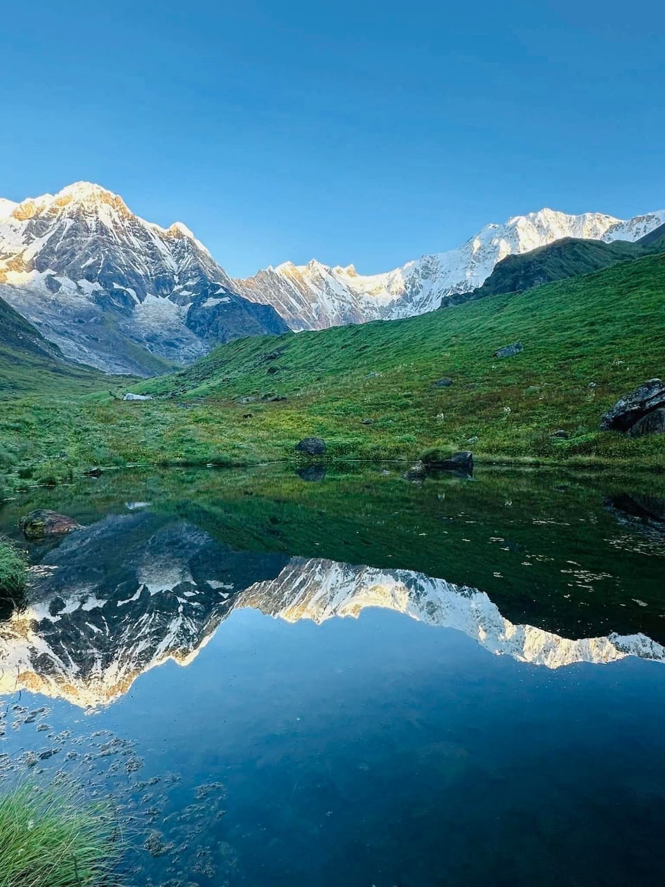 Monsoon landscape on the Annapurna Base Camp Trek with lush green hills, a reflective pond, and snow-covered Himalayan peaks.