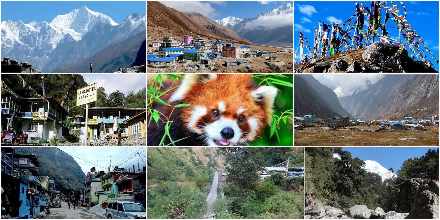 photos showcasing the highlights of the Langtang Valley Trek, including Syabrubesi, lush bamboo forests, the Langtang River, Langtang Village, Kyanjin Gompa, Kyanjin Ri, Tserko Ri, glaciers, yaks, prayer flags, and breathtaking snow-capped Himalayan peaks.