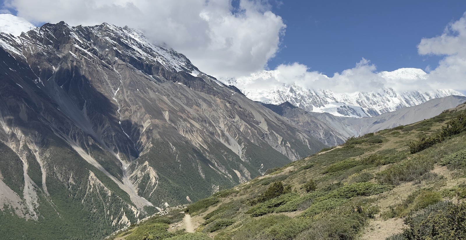 Trekking trail between Siri Kharka and Yak Kharka showing alpine terrain, sparse vegetation, yak grazing areas, and snow-capped Himalayan peaks in the background.