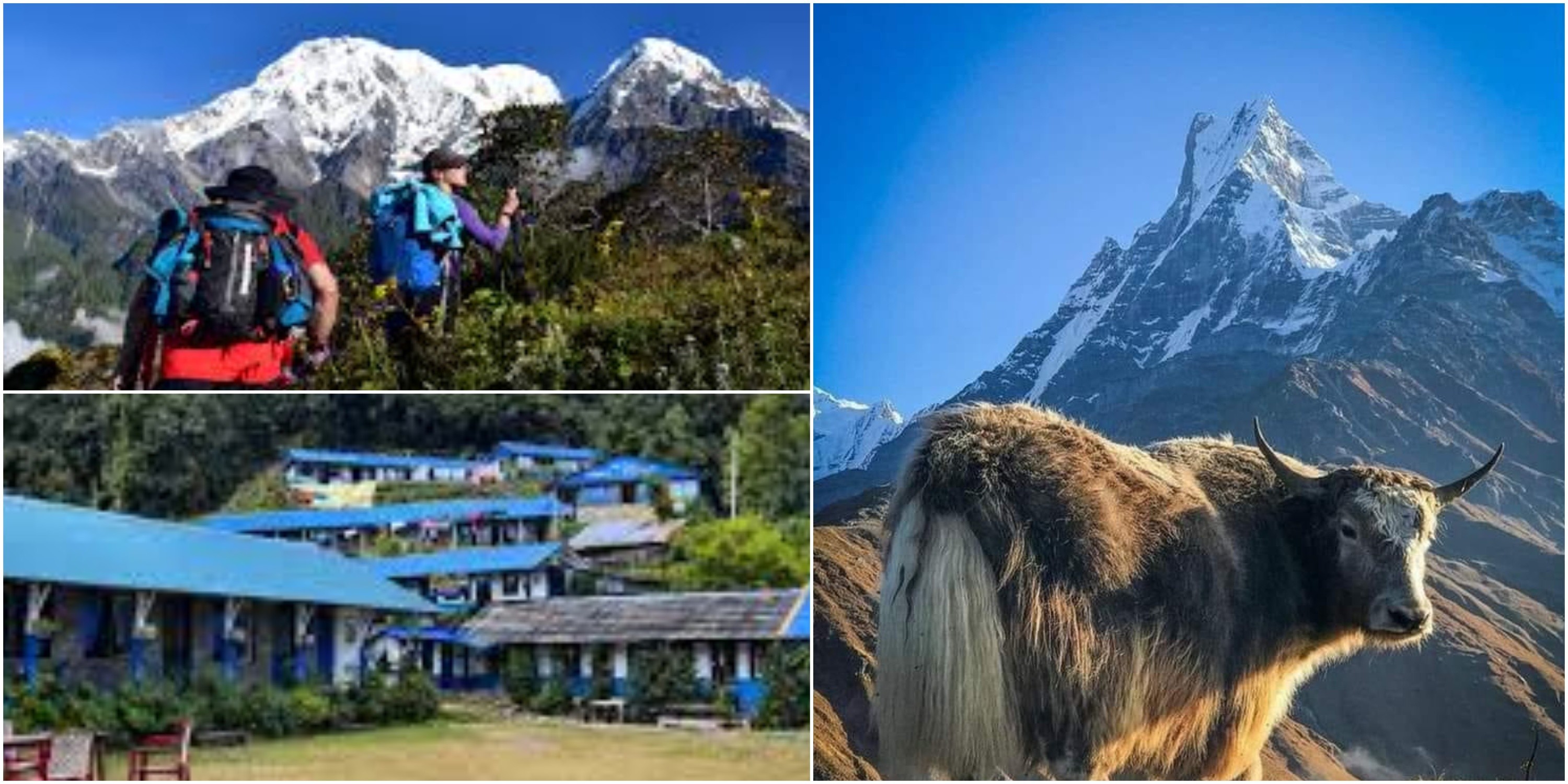Mardi Himal Trek in autumn with clear views of snow-capped Himalayan peaks and golden mountain landscapes.