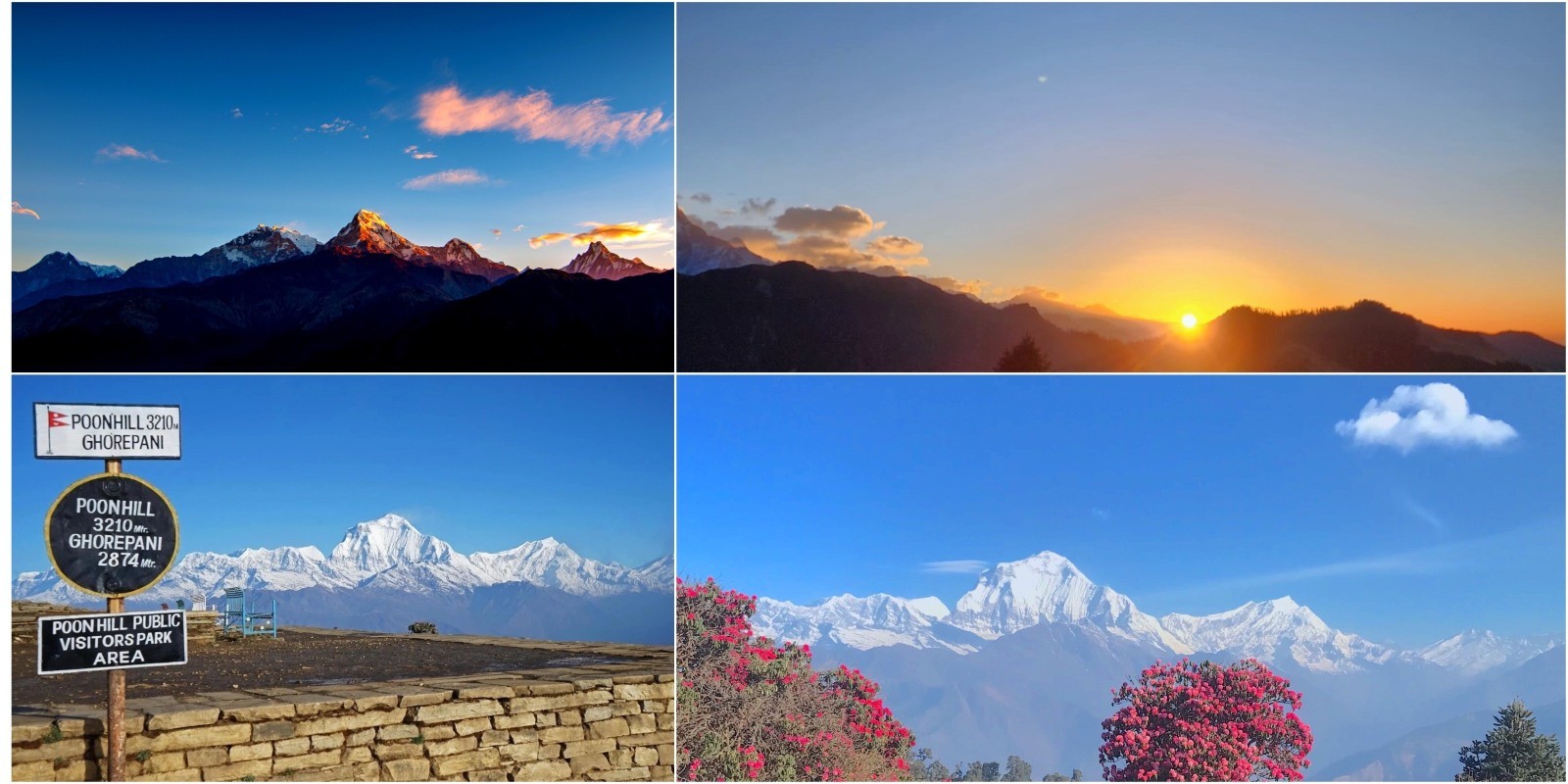 Golden sunrise from Poon Hill Viewpoint (3,210m) illuminating Annapurna, Dhaulagiri, Machhapuchhre (Fishtail), and the surrounding Himalayan peaks.