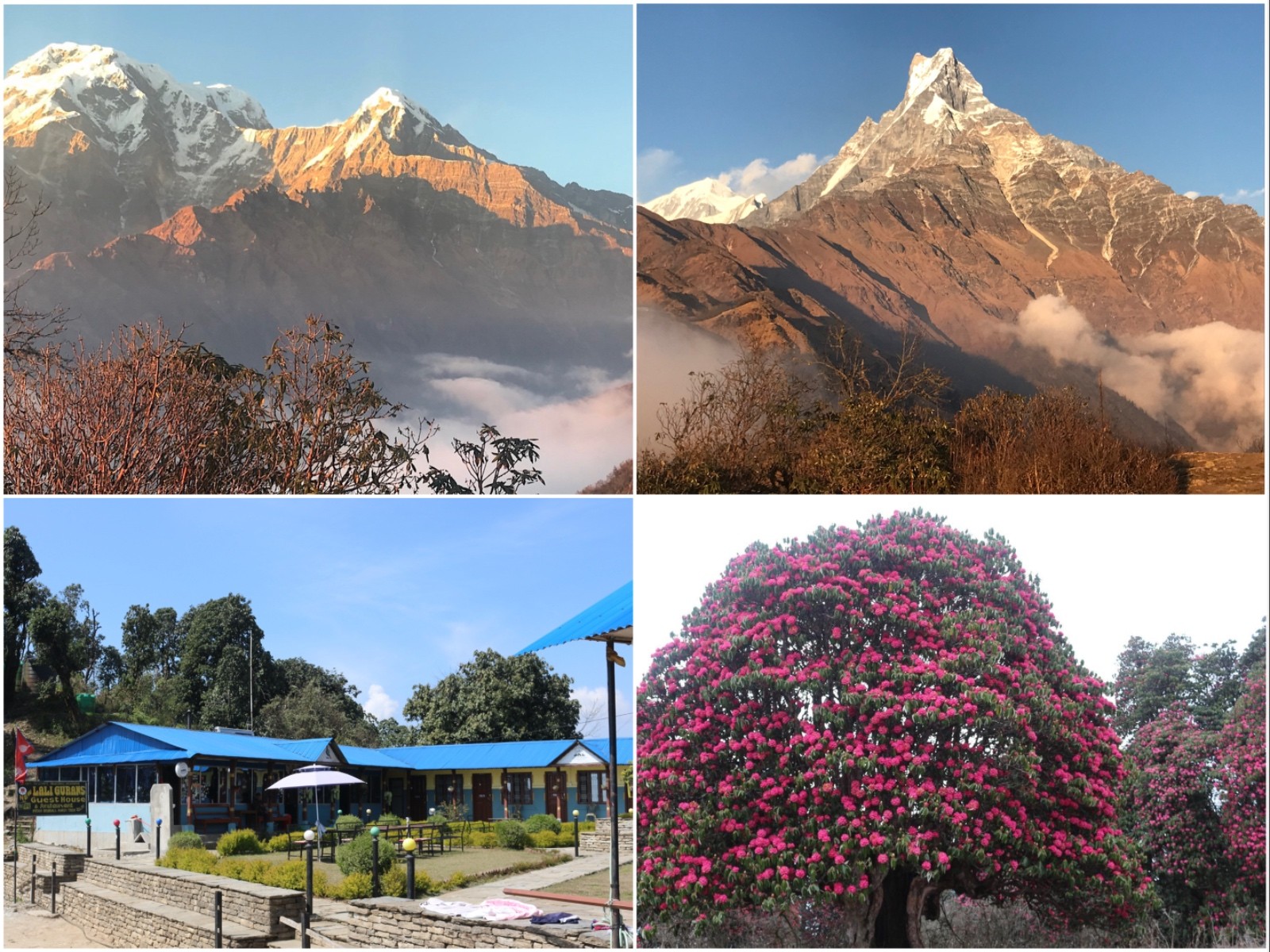 Family trekking on the Mardi Himal Trail with panoramic views of Machhapuchhre (Fishtail), Annapurna South, and peaceful Himalayan ridges in Nepal.