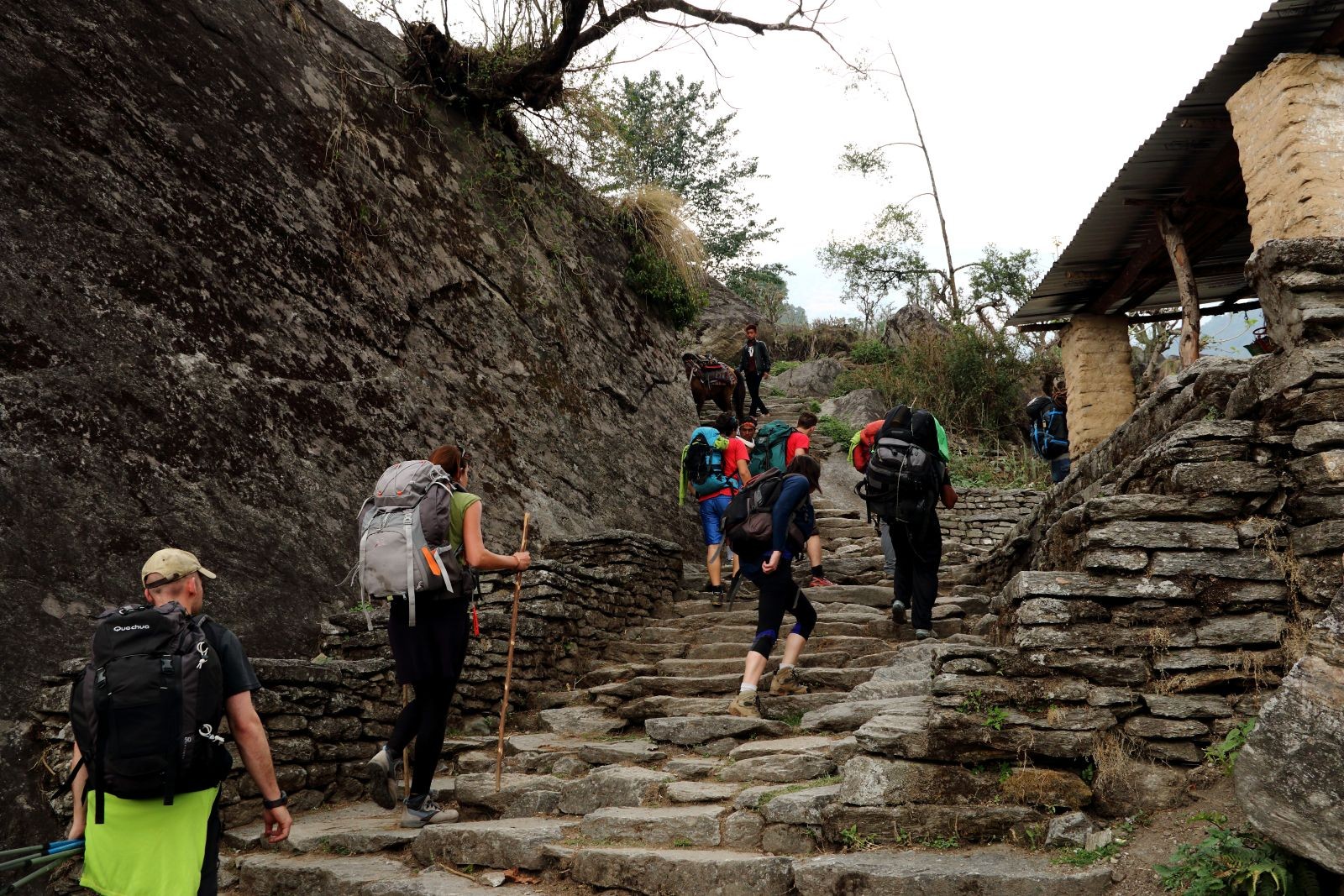 Trekkers climbing the steep Ulleri stone steps on the Ghorepani Poon Hill Trek in Nepal.
