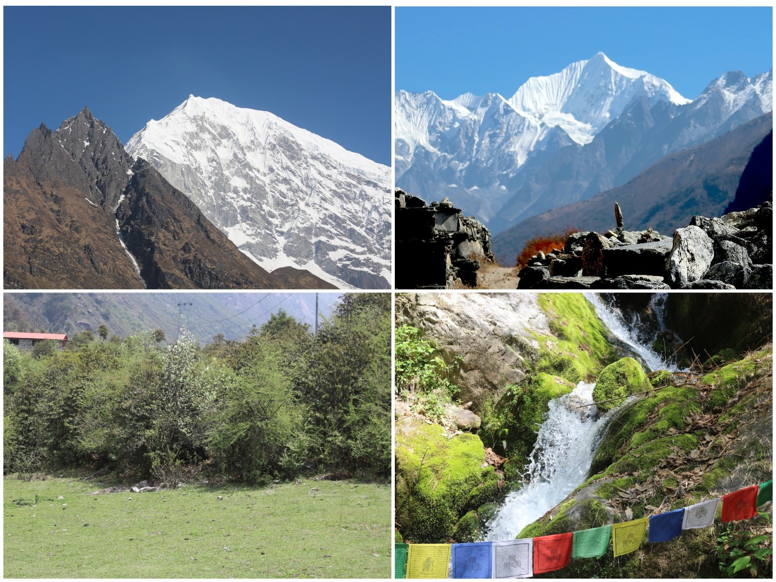 Joined highlight photo of trekkers in Langtang Valley Trek showcasing rivers, forests, alpine villages, and snow-capped Himalayan peaks
