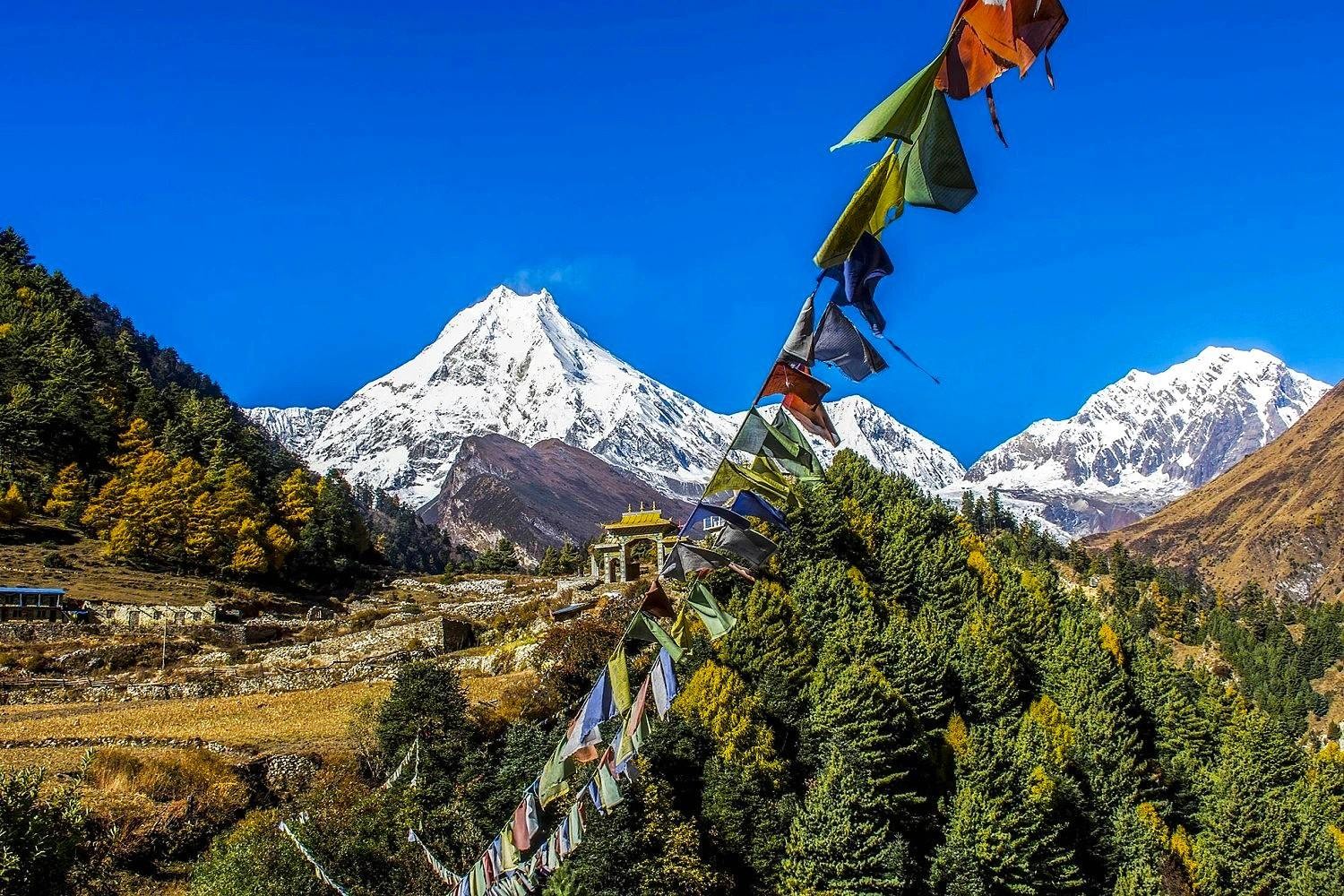 Pine forest scene with monastery, prayer flags, and Manaslu in distance