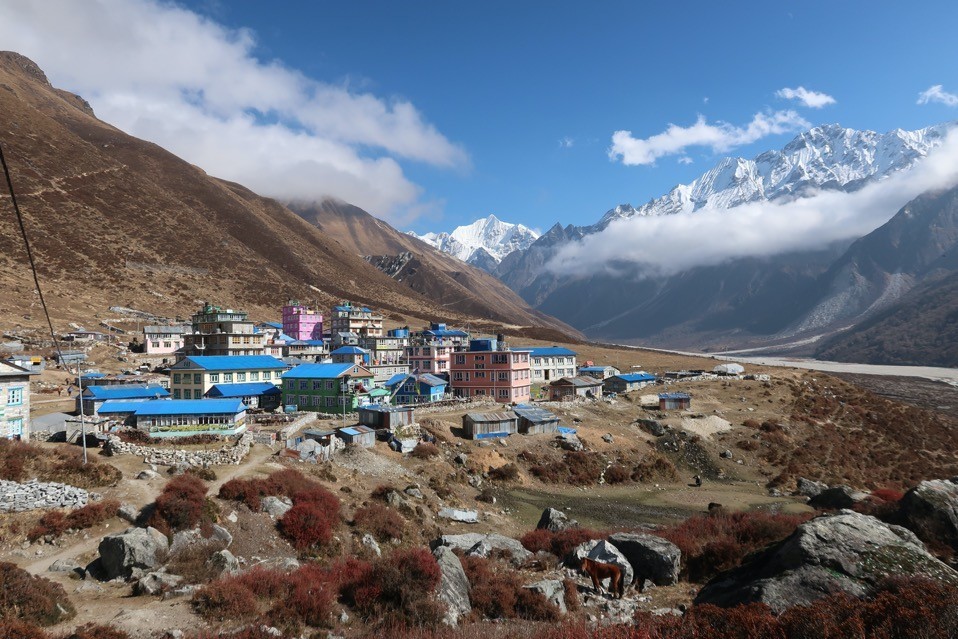 Kyanjin Gompa surrounded by colourful prayer flags and dramatic snow-capped Himalayan peaks in Langtang Valley.