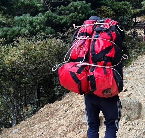 Porter Carry bag