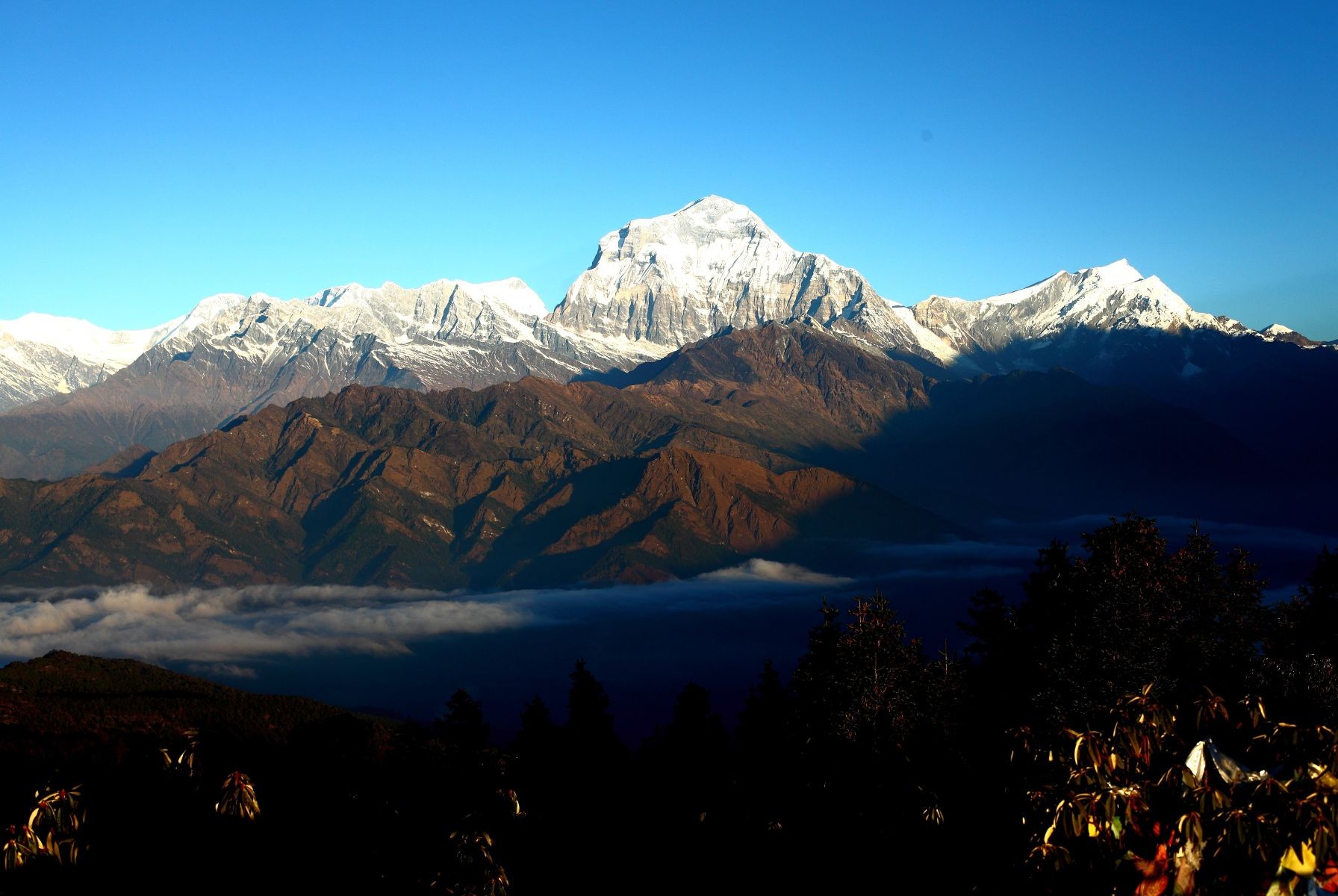 "Autumn scenery on the Ghorepani Poon Hill Trek with crystal-clear blue skies, golden hills, colorful prayer flags, and panoramic views of Annapurna South, Machhapuchhre (Fishtail), Dhaulagiri, Hiunchuli, and Nilgiri in Nepal."