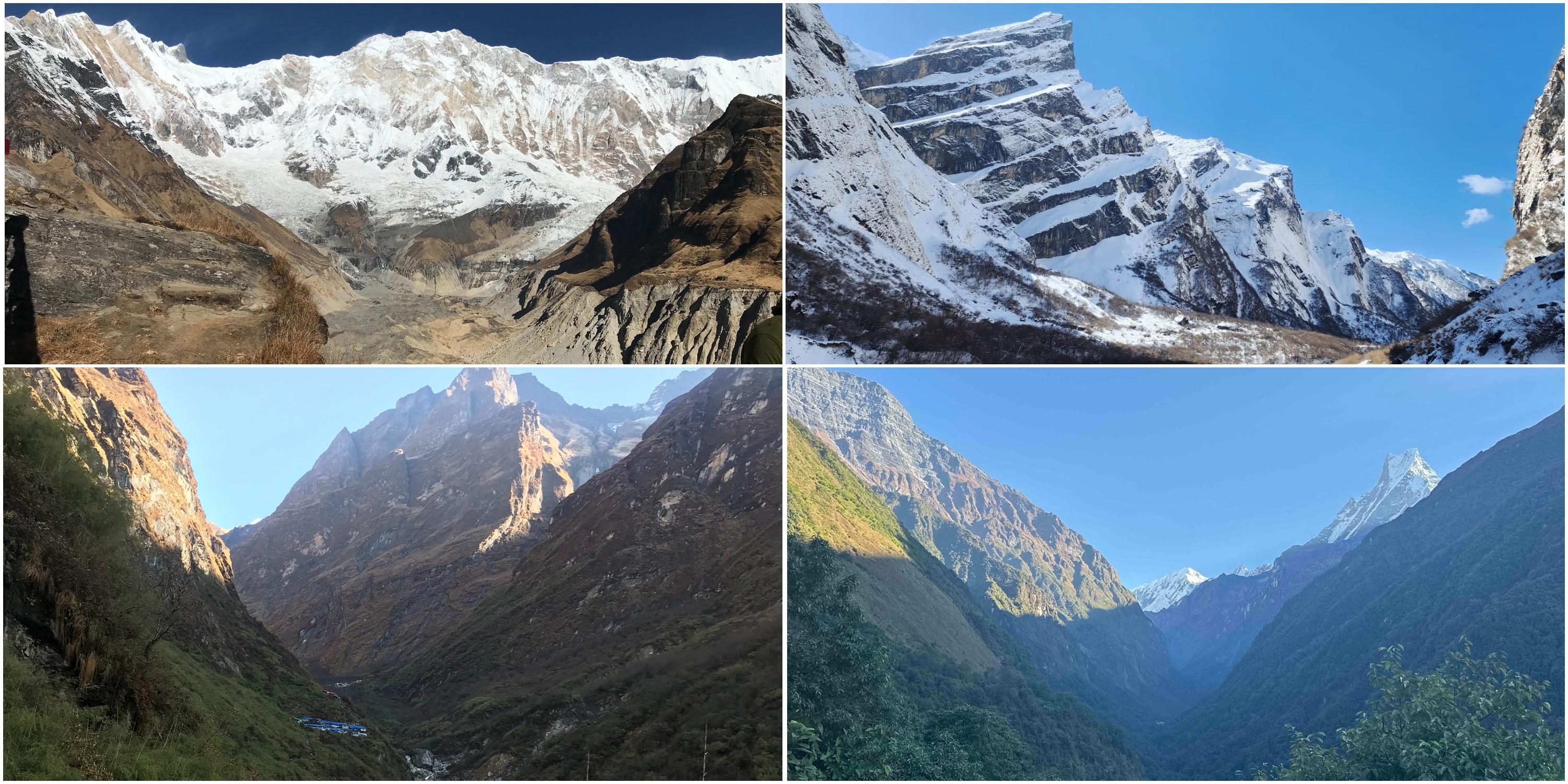 Annapurna Base Camp in spring surrounded by blooming rhododendrons, clear blue skies, and panoramic views of Annapurna I, Machhapuchhre (Fishtail), and snow-capped Himalayan peaks.