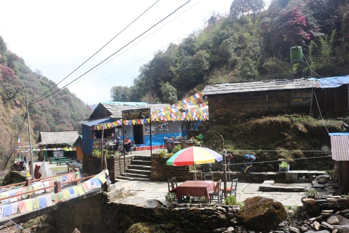 a teahouse between Banthanti to Ghorepani village