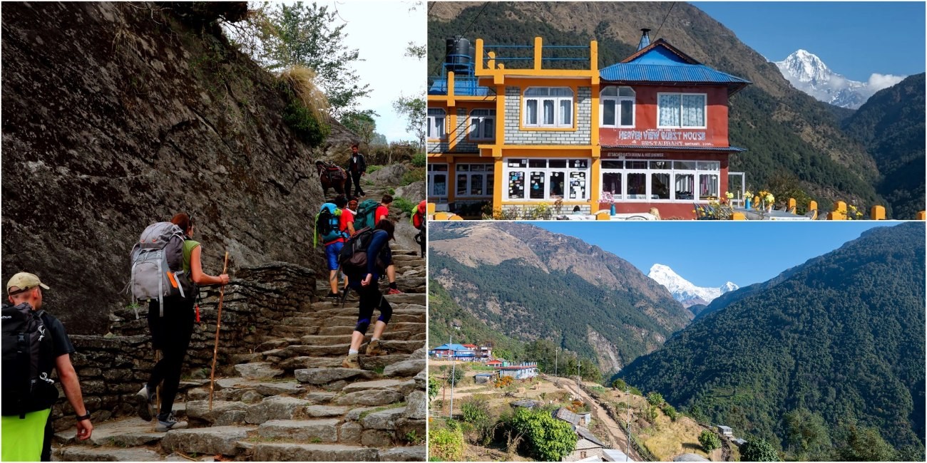 Trekkers climbing the famous 3,300 stone steps to Ulleri through lush forests with traditional stone houses and Himalayan mountain views.