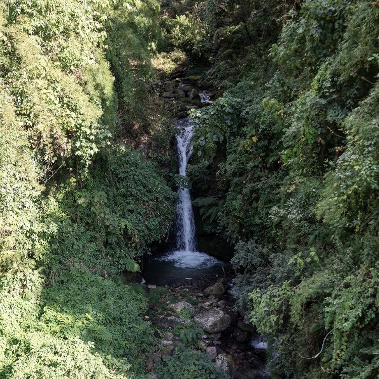 Scenic waterfall along the Poon Hill Trek in the Annapurna region of Nepal, surrounded by lush forests, moss-covered rocks, and peaceful Himalayan landscapes.