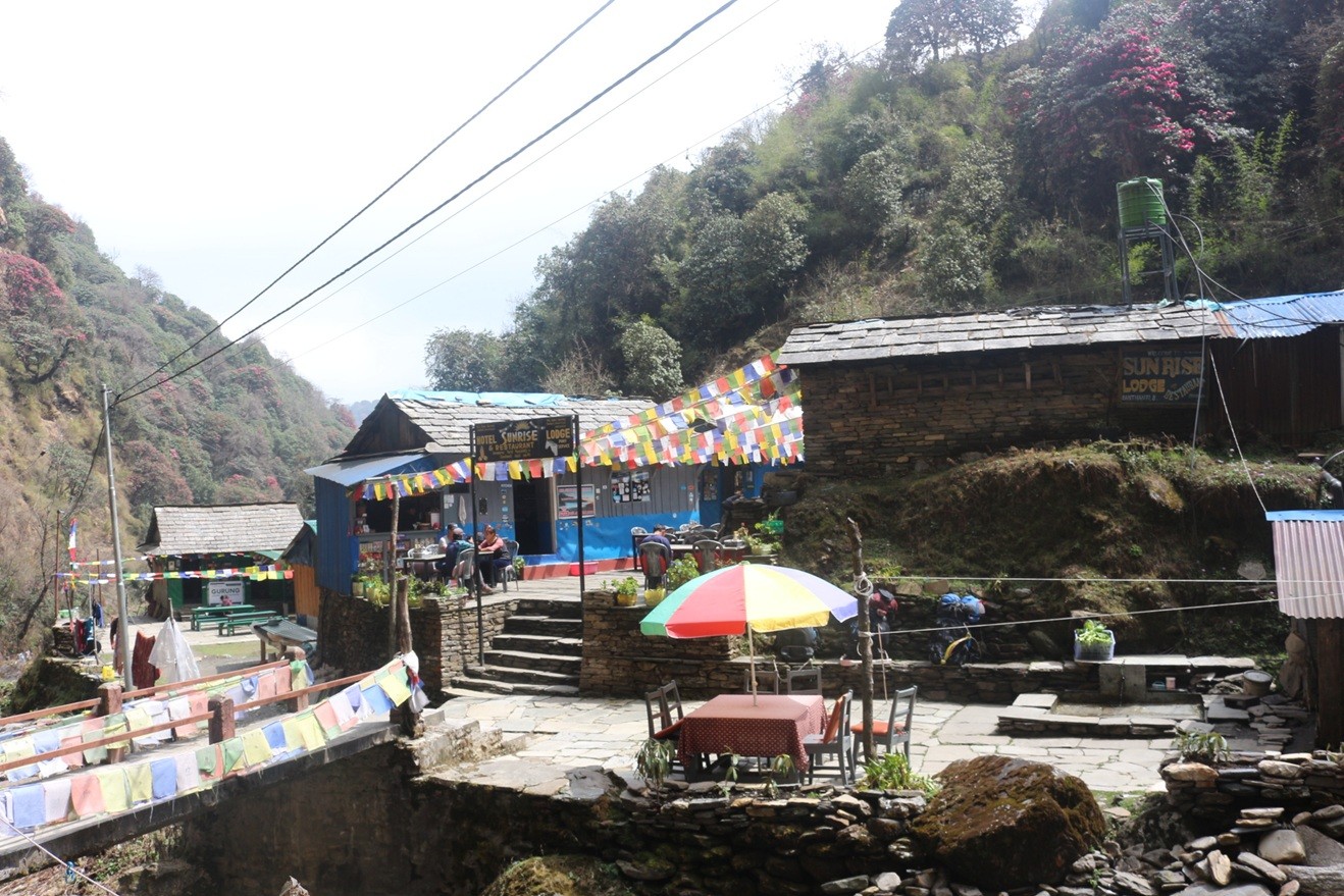 a teahouse between Banthanti to Ghorepani village