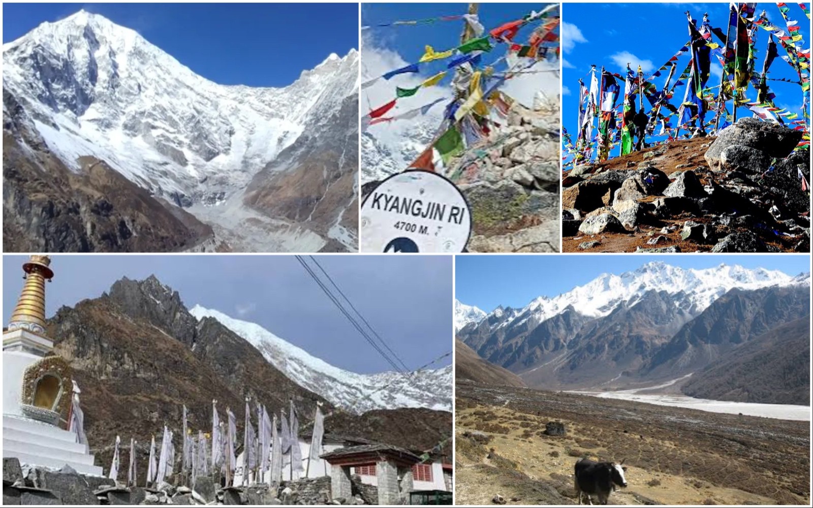 "Panoramic view of Kyanjin Gompa in Nepal's Langtang Valley, featuring colorful mountain lodges, rugged alpine terrain, and snow-covered Himalayan peaks, the gateway to Kyanjin Ri, Tserko Ri, Langtang Lirung Glacier, and Langshisha Kharka."  