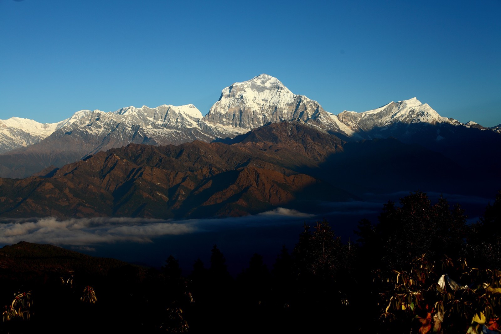 Autumn view of Dhaulagiri range from Poon Hill with clear Himalayan skies