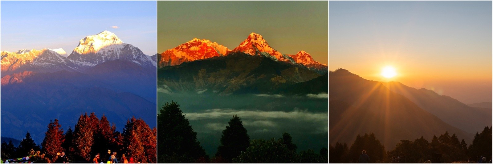 Trekkers watching a breathtaking sunrise from Poon Hill as golden light illuminates the Annapurna, Dhaulagiri, and Machhapuchhre peaks above a sea of clouds.