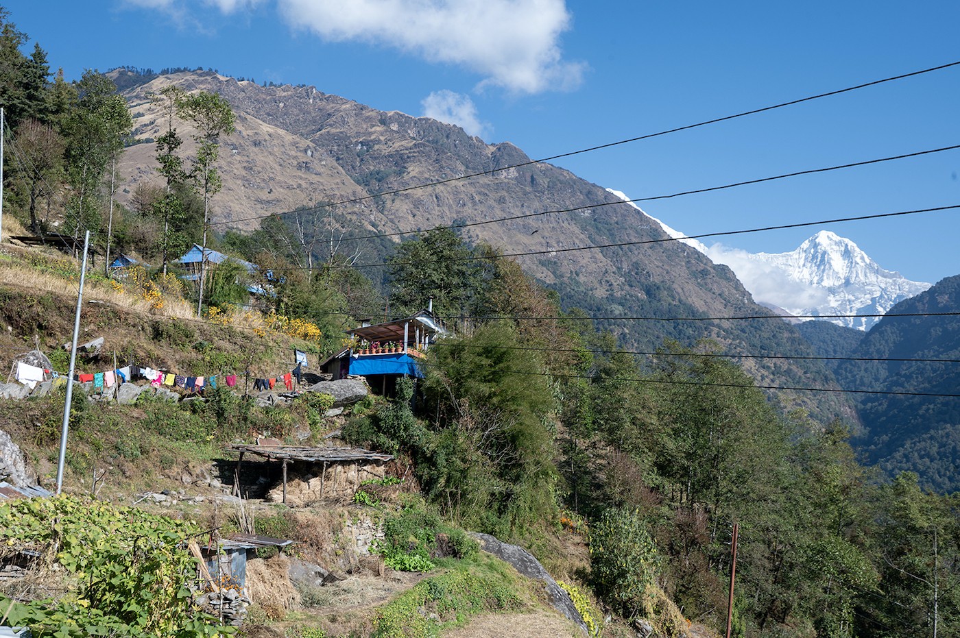 Trekkers hiking the Ulleri trail with panoramic mountain views and terraced farmlands in the Annapurna region of Nepal.