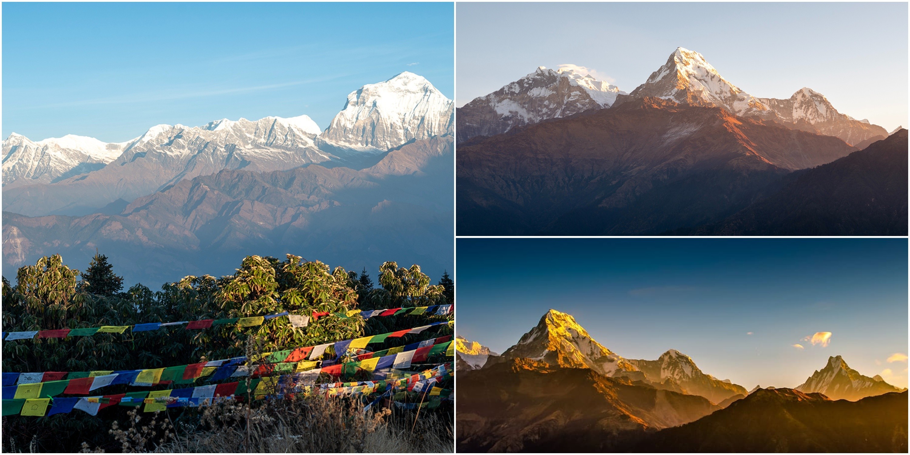 Panoramic view from Poon Hill featuring the Annapurna, Dhaulagiri, Machhapuchhre (Fishtail), Nilgiri, and Hiunchuli mountain ranges under a clear Himalayan sky in Nepal.