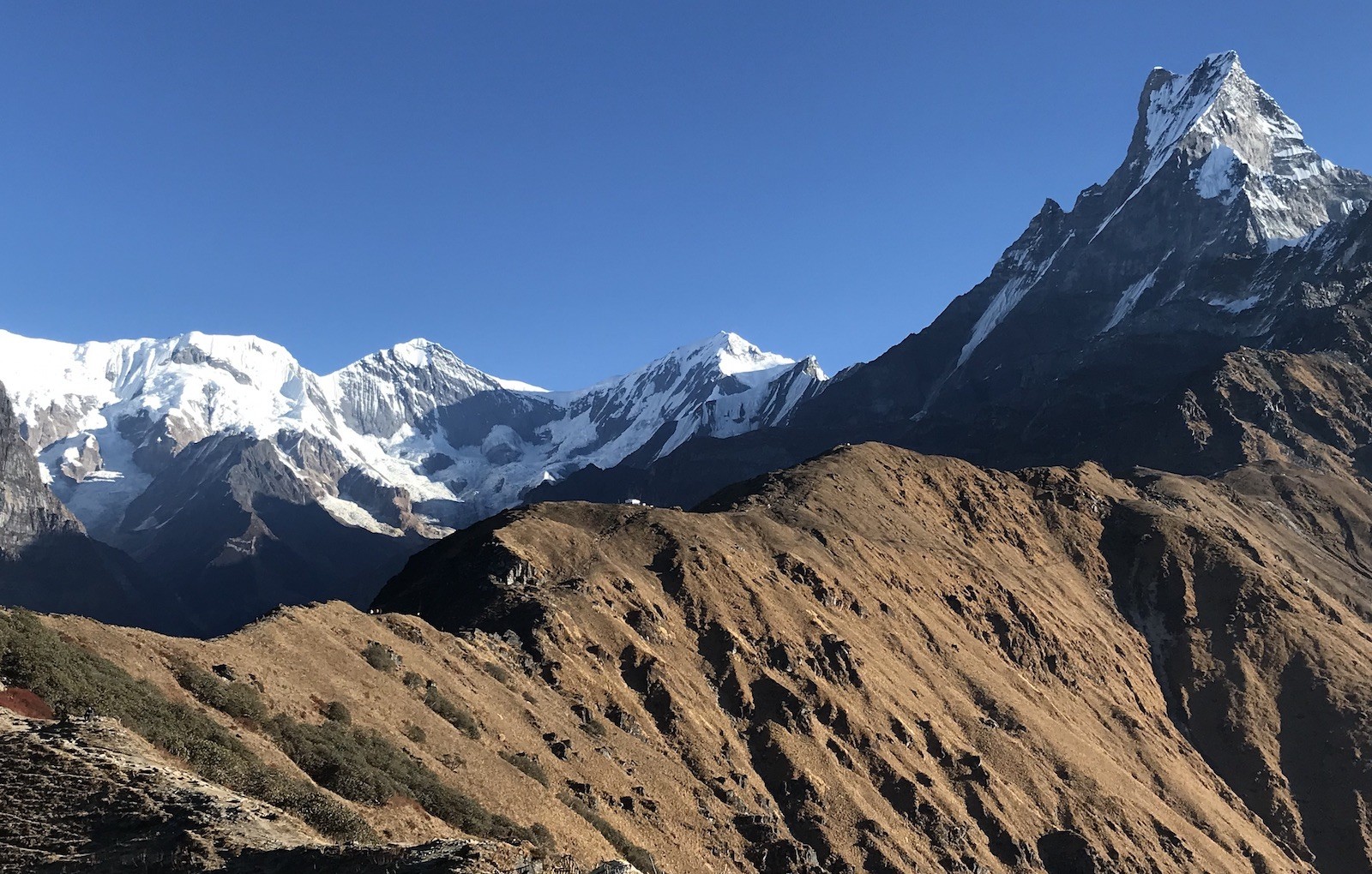 Panoramic view from Mardi Himal Viewpoint overlooking Machhapuchhre, the Annapurna Range, and snow-covered Himalayan peaks in Nepal.
