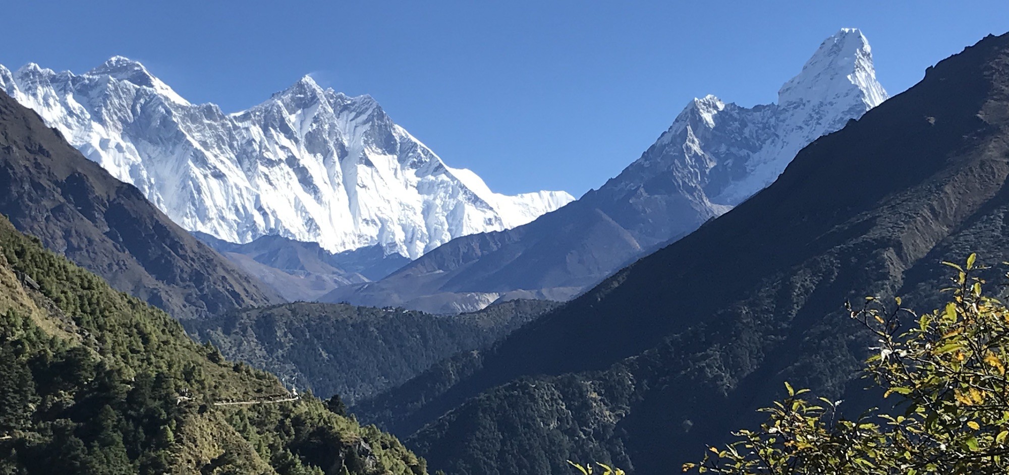Trekkers walking through pine forests toward Tengboche Monastery with Himalayan peaks in the background, Everest region, Nepal.