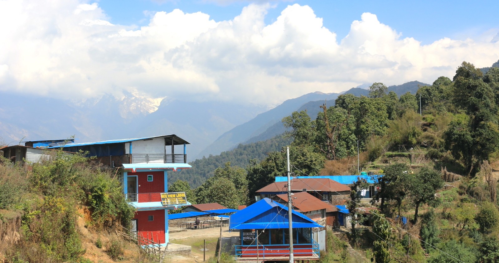 Pitam Deurali is a picturesque stop on the Mardi Himal Trek, known for its forest trails