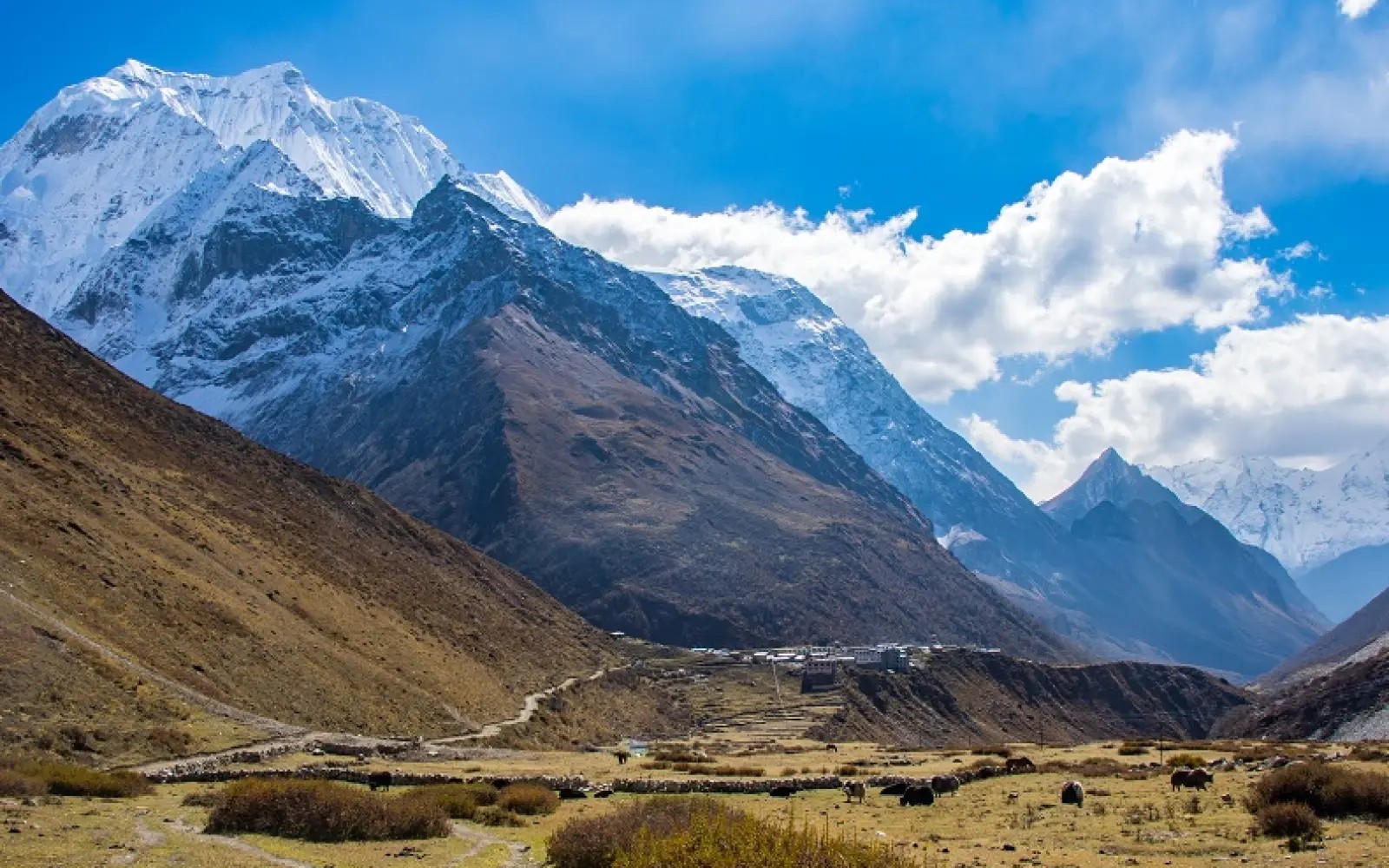 Scenic mountain trail winding through traditional villages in the Manaslu Circuit Trek, with towering Himalayan peaks, lush valleys, and authentic local settlements in Nepal.