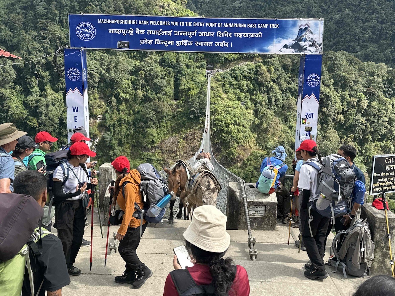 Jhinu Suspension Bridge spanning the Modi Khola River, surrounded by lush green forests and dramatic Himalayan landscapes on the Annapurna Base Camp Trek in Nepal.