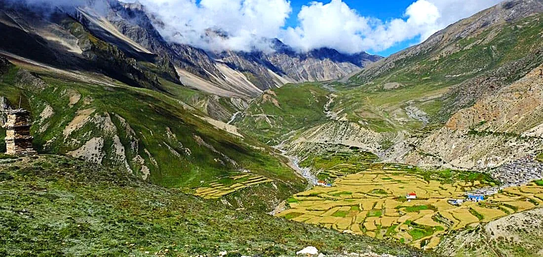 High-altitude farmland in Nar Phu Valley surrounded by Himalayan mountains.