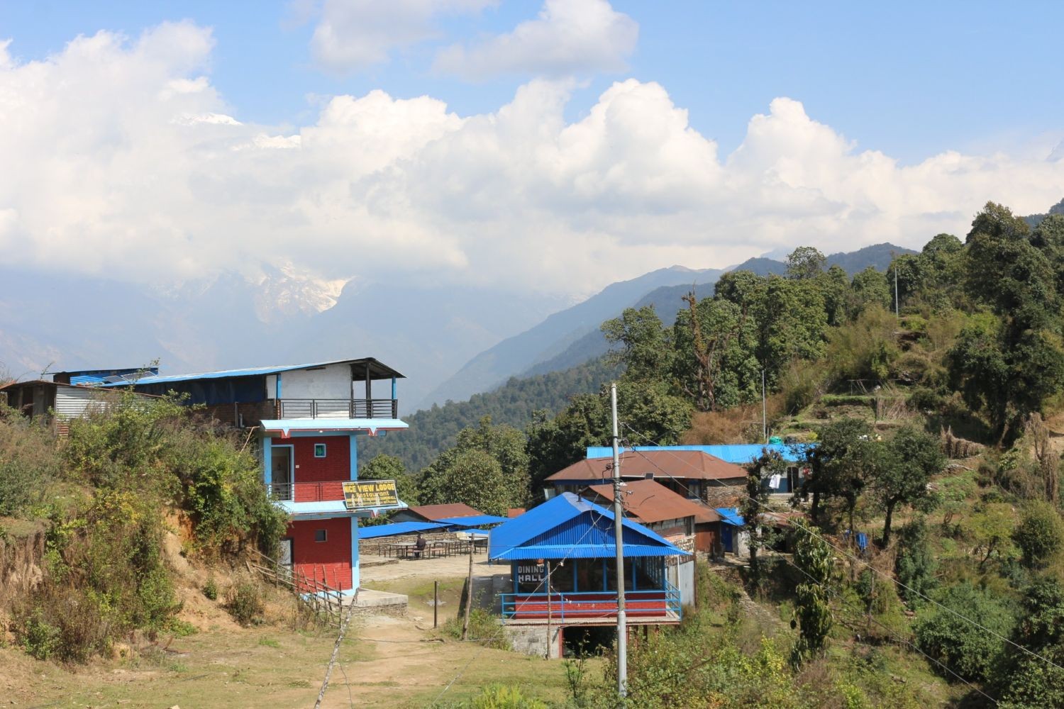 Pitam Deurali surrounded by lush forests and Himalayan mountain views on the Mardi Himal Trek in Nepal.