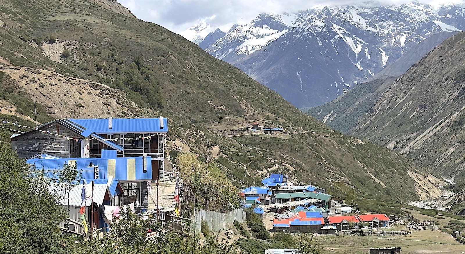 Yak Kharka on the Annapurna Circuit Trek in Nepal with alpine landscape and grazing yaks in Himalayan mountains”