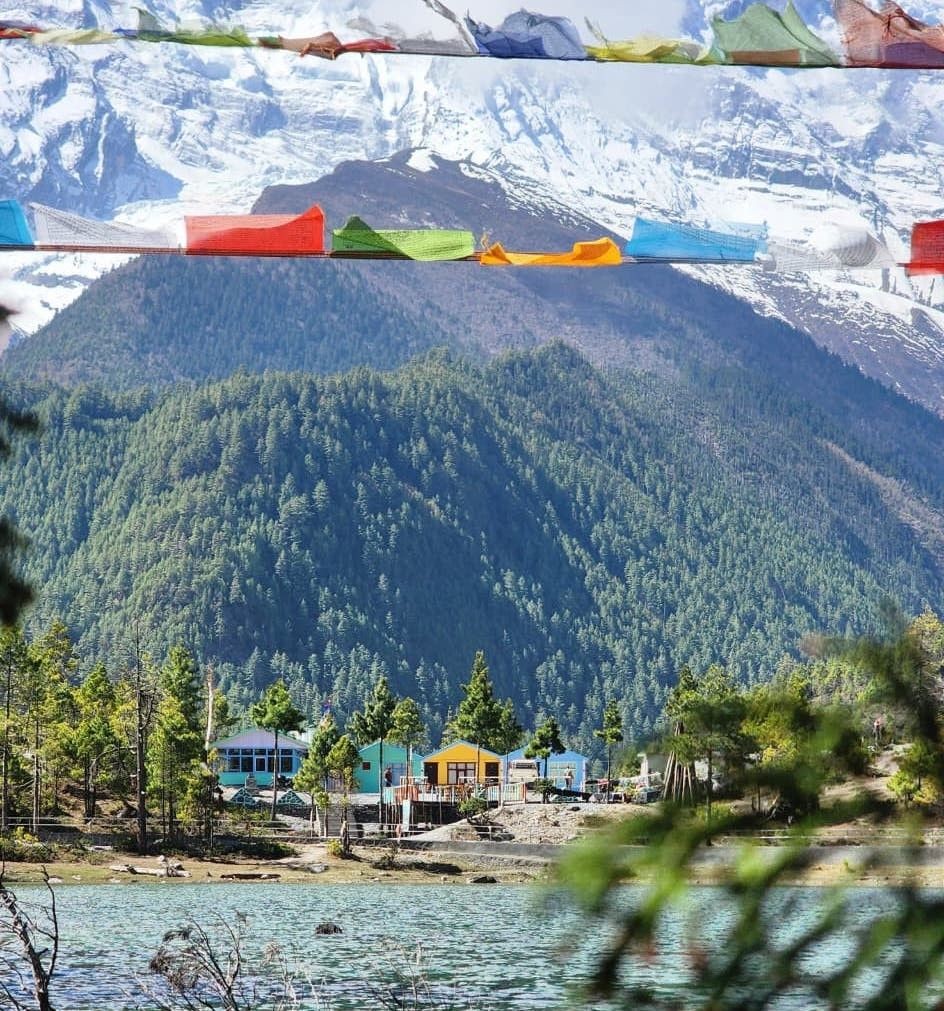 Green Lake on the Annapurna Circuit Trek in September, surrounded by lush pine forests, colourful mountain lodges, prayer flags, and snow-capped Himalayan peaks under clear post-monsoon skies.