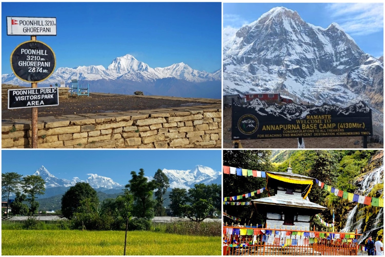 Collage showcasing highlights of the Annapurna Base Camp Trek via Poon Hill, featuring the Poon Hill viewpoint sign, Annapurna Base Camp welcome board beneath Annapurna I, panoramic Annapurna and Machhapuchhre views from Pokhara, and a traditional mountain shrine with colorful prayer flags.