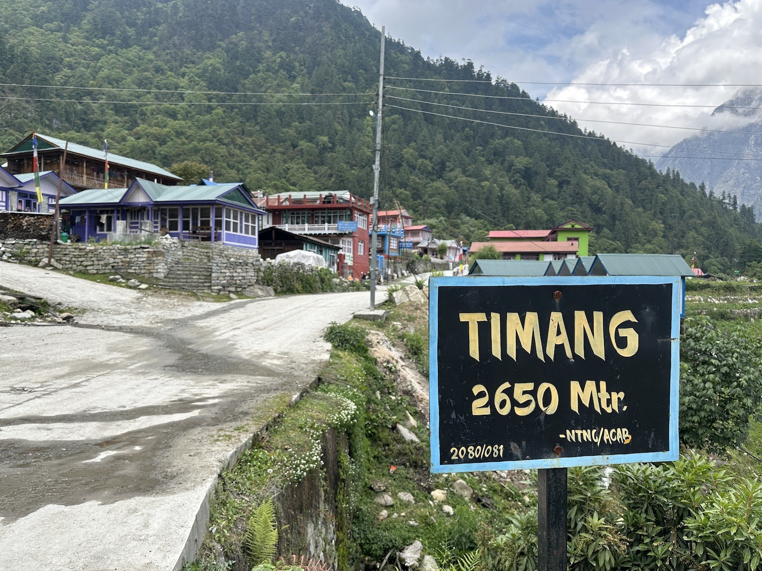 Timang Village on the Annapurna Circuit Trek with traditional stone houses, colorful prayer flags, lush pine forests, terraced hillsides, and spectacular views of Manaslu and Lamjung Himal under clear Himalayan skies.
