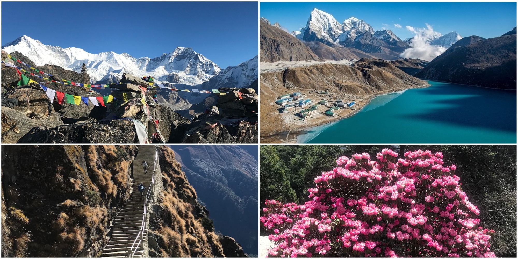 Collage of the major attractions of the Gokyo Lakes Trek, featuring Gokyo Ri, turquoise Gokyo Lake, Cho Oyu, scenic stone staircases, and blooming rhododendron forests in the Everest region.