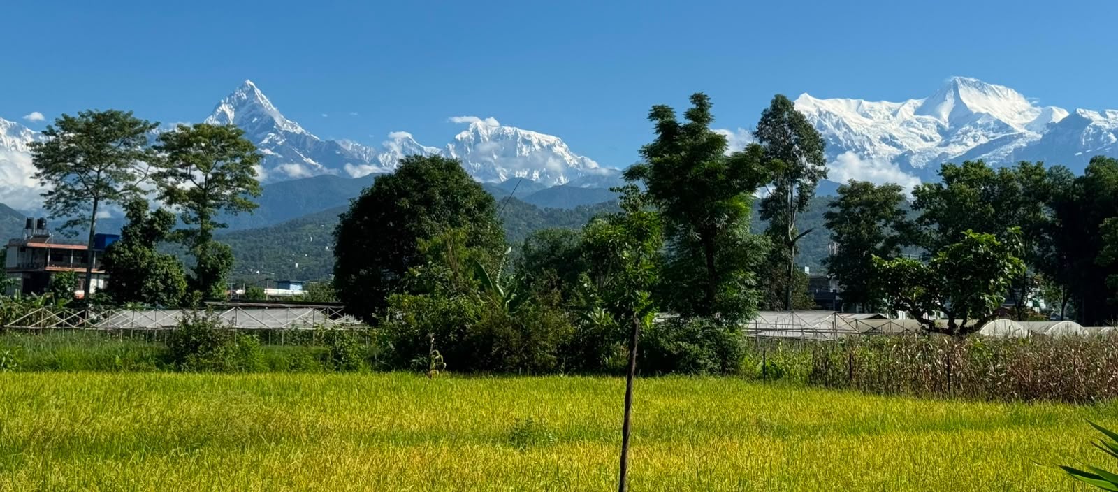 "Scenic drive from Ghandruk to Pokhara with views of the Annapurna foothills, followed by exploration of Phewa Lake, Tal Barahi Temple, World Peace Pagoda, and the vibrant Lakeside area in Pokhara, Nepal.