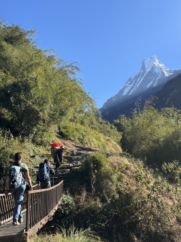 Trekkers crossing a footbridge on a forested Annapurna Base Camp trail with the snow-covered Machhapuchhre mountain in the background.