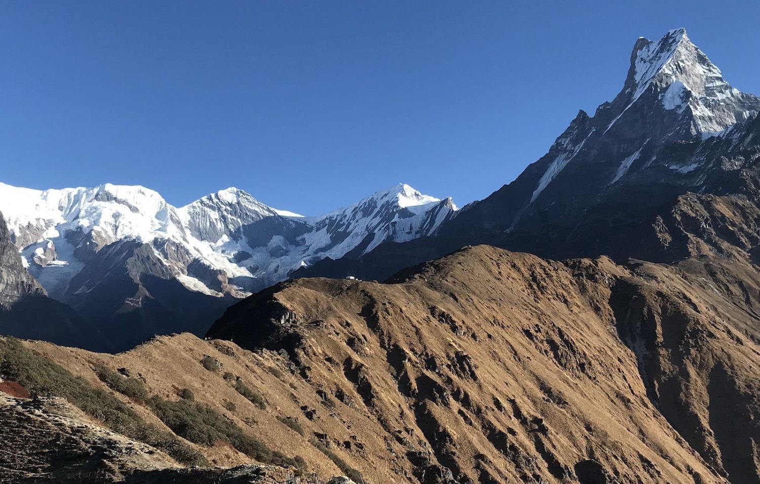 Panoramic view from the Mardi Himal Viewpoint overlooking Machhapuchhre, Annapurna South, and the Himalayan peaks in Nepal.