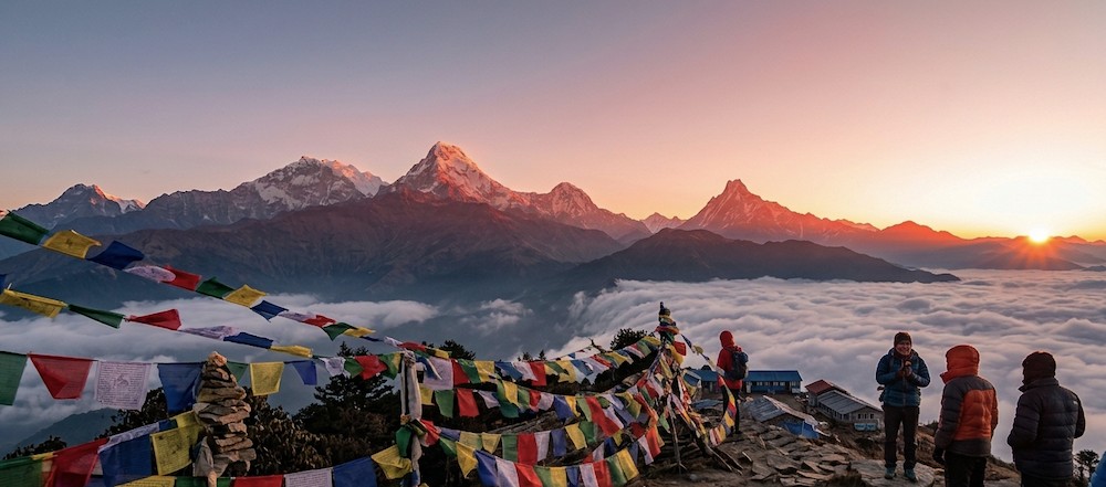 Panoramic sunrise view from Mohare Danda featuring Dhaulagiri, Annapurna South, Machhapuchhre (Fishtail), Nilgiri, and the Annapurna range above mist-covered hills and rhododendron forests.